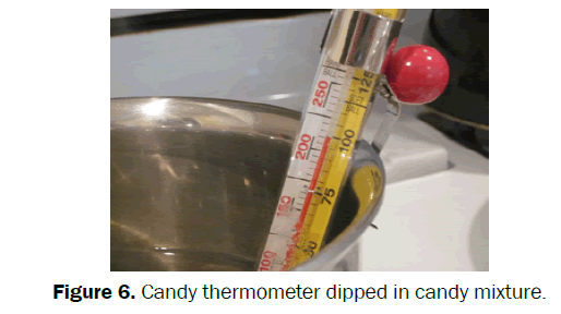 pharmacognosy-phytochemistry-Candy-thermometer