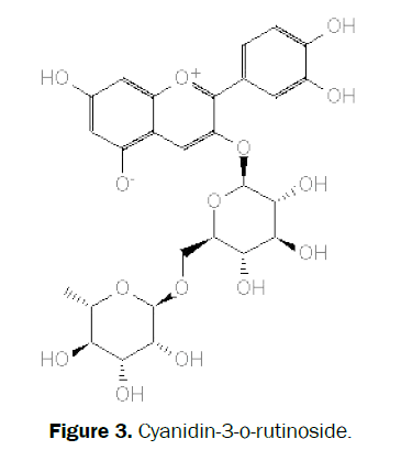 pharmacognosy-phytochemistry-Cyanidin-3-o-rutinoside