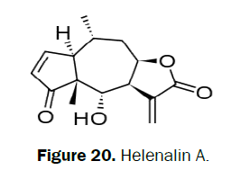 pharmacognosy-phytochemistry-Helenalin-A