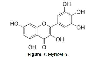 pharmacognosy-phytochemistry-Myricetin