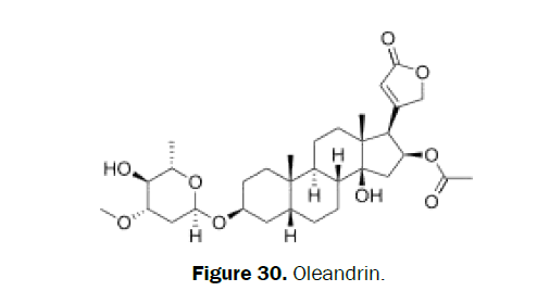 pharmacognosy-phytochemistry-Oleandrin