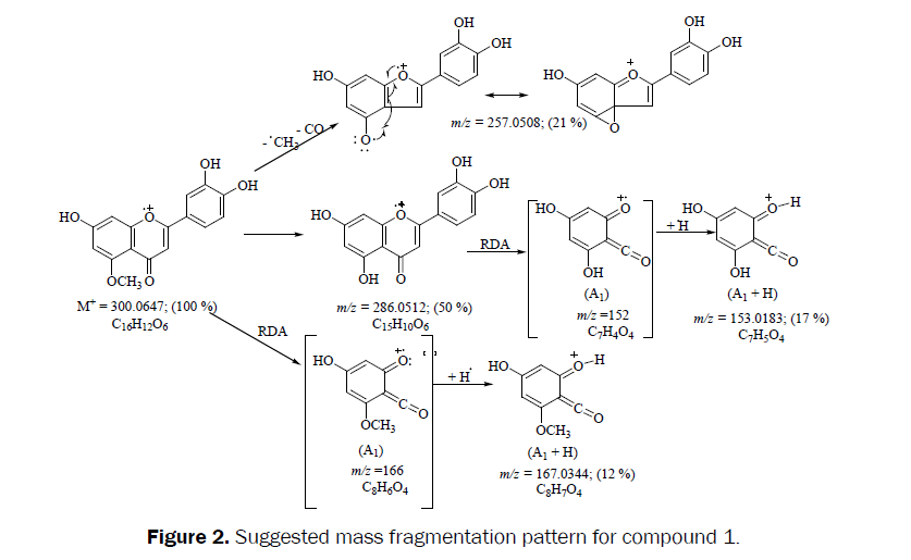 pharmacognosy-phytochemistry-Suggested-mass-fragmentation