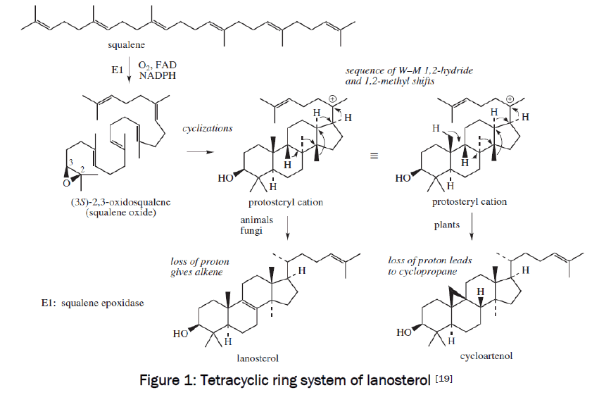 pharmacognosy-phytochemistry-Tetracyclic
