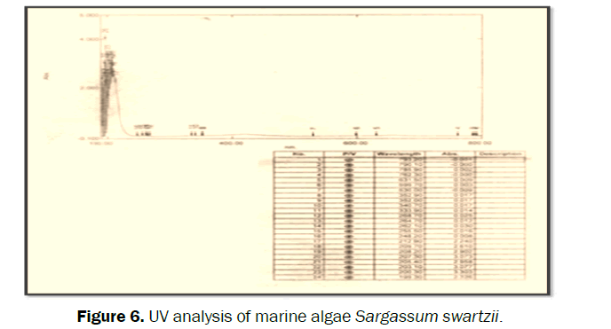 pharmacognosy-phytochemistry-algae-Sargassum-swartzii