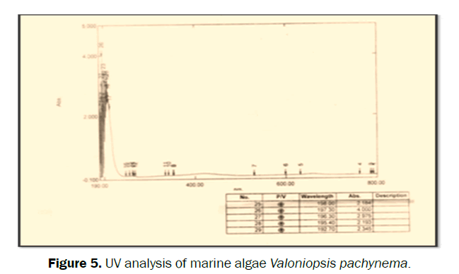 pharmacognosy-phytochemistry-algae-Valoniopsis-pachynema