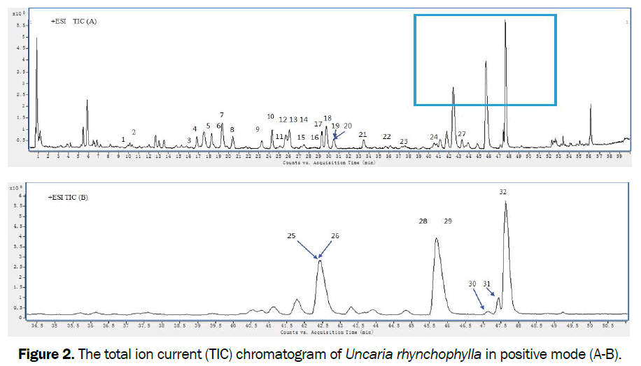 pharmacognosy-phytochemistry-Identification