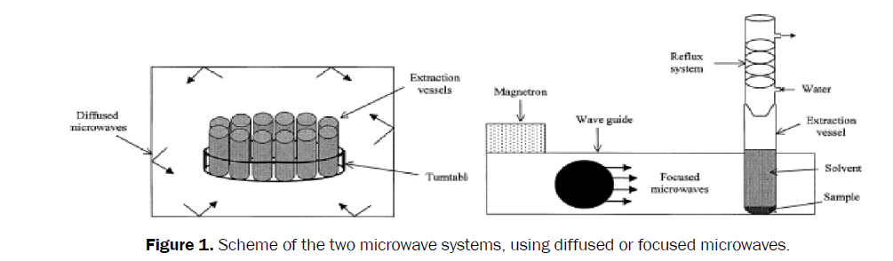 pharmacognosy-phytochemistry-diffused-focused-microwaves