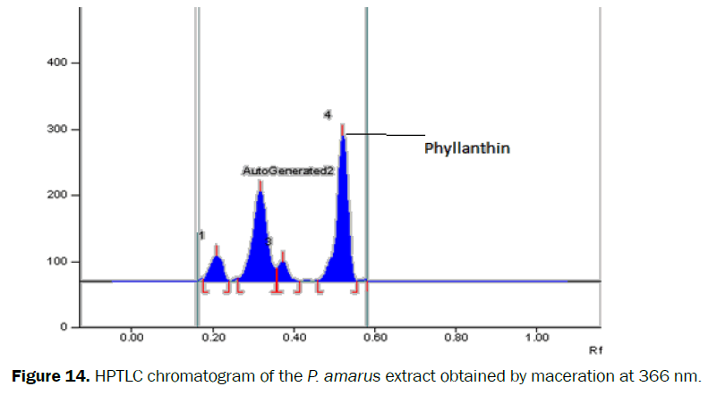 pharmacognosy-phytochemistry-extract-obtained-maceration