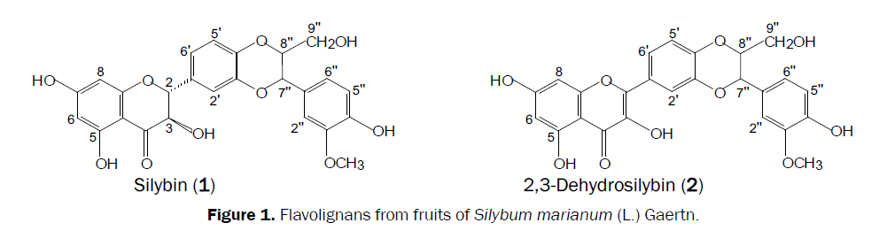 pharmacognosy-phytochemistry-fruits-Silybum-marianum