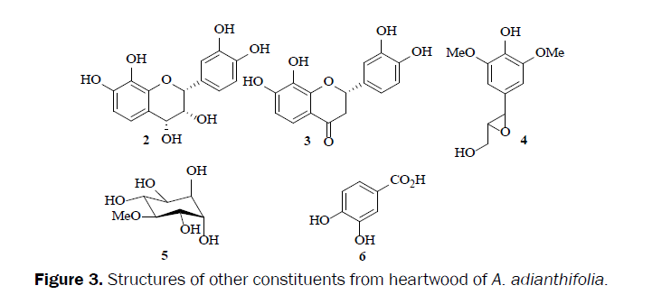 pharmacognosy-phytochemistry-heartwood-A-adianthifolia