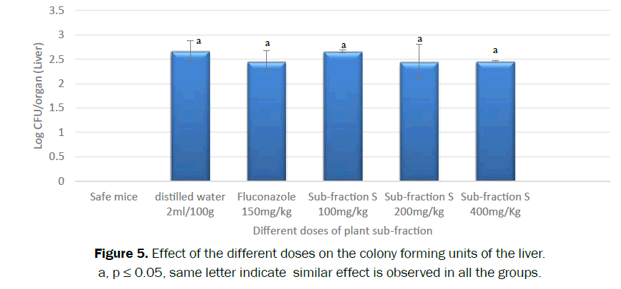 pharmacognosy-phytochemistry-indicate-similar-effect