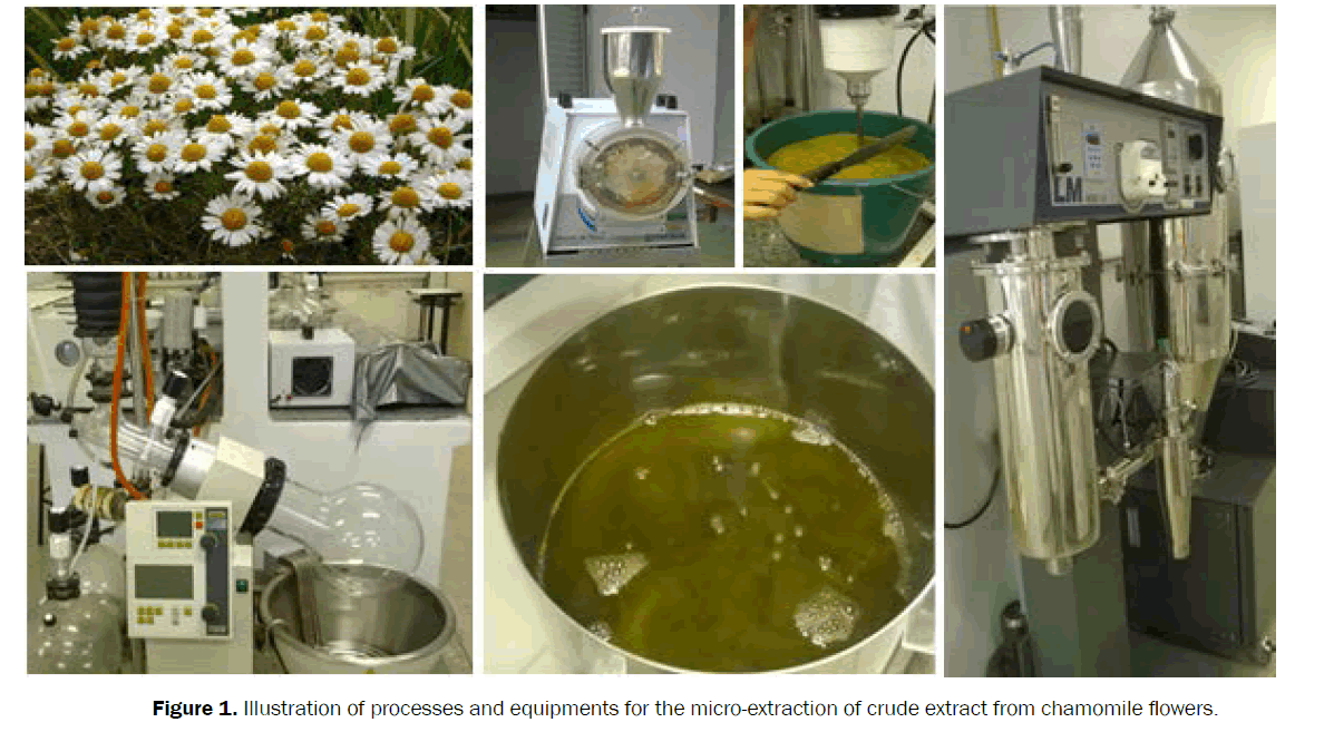 pharmacognosy-phytochemistry-micro-extraction