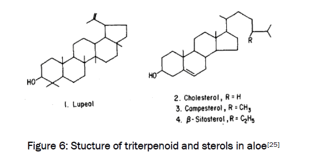pharmacognosy-phytochemistry-triterpenoid-sterols-aloe