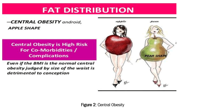 pharmacology-Toxicological-Studies-Central-Obesity