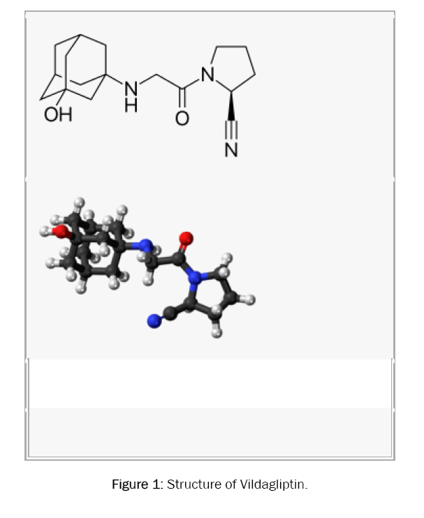 pharmacology-Toxicological-Studies-Structure-of-Vildagliptin