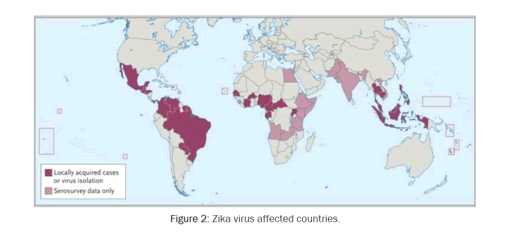 pharmacology-Toxicological-Studies-Zika-virus-affected-countries