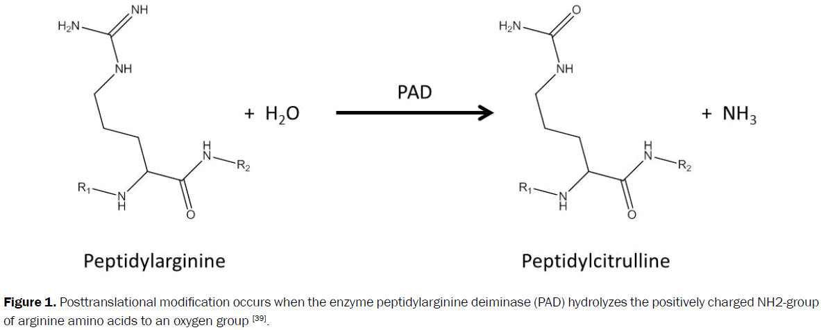 pharmacology-toxicological-Posttranslational-modification