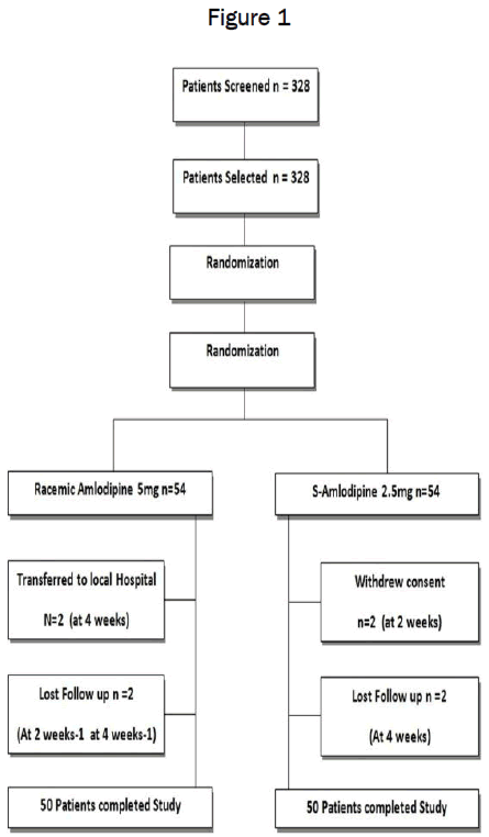 pharmacology-toxicological-studies