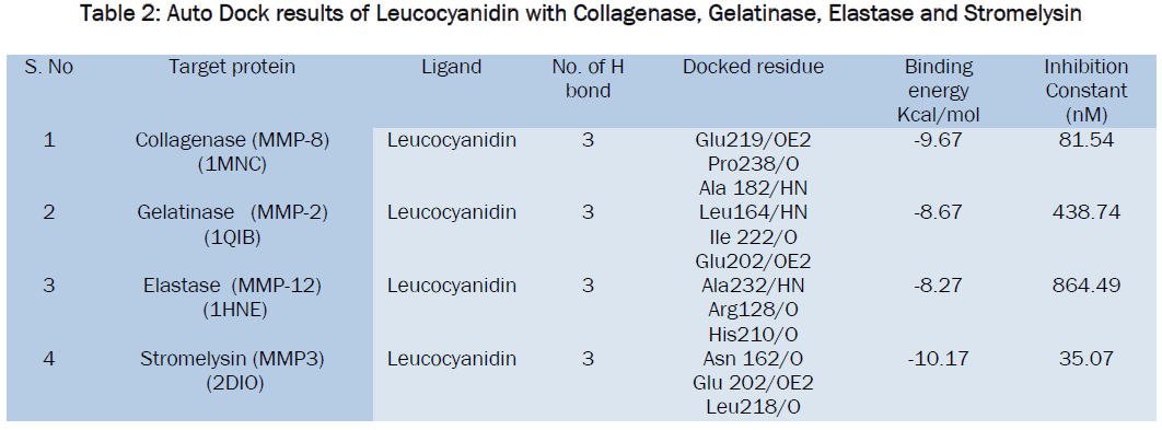 pharmacology-toxicological-studies-Auto-Dock-Leucocyanidin