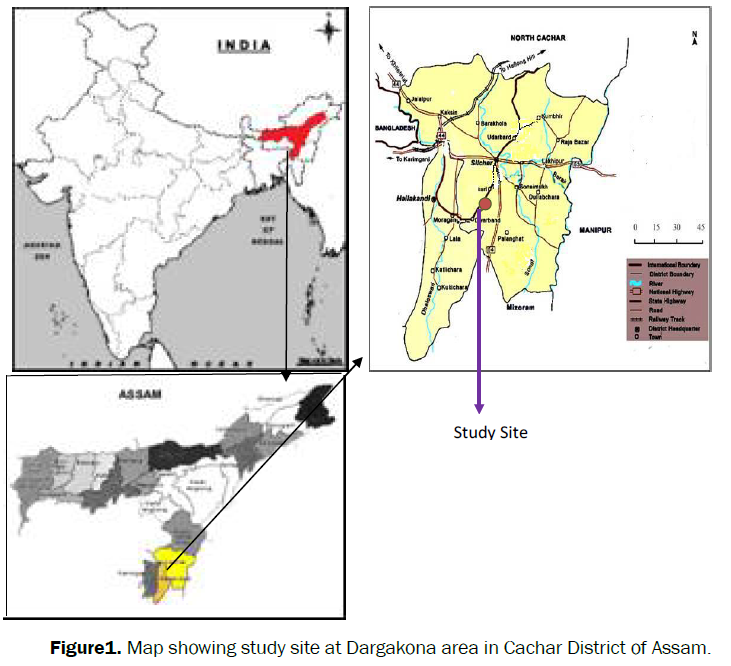 pharmacology-toxicological-studies-Cachar-District-Assam