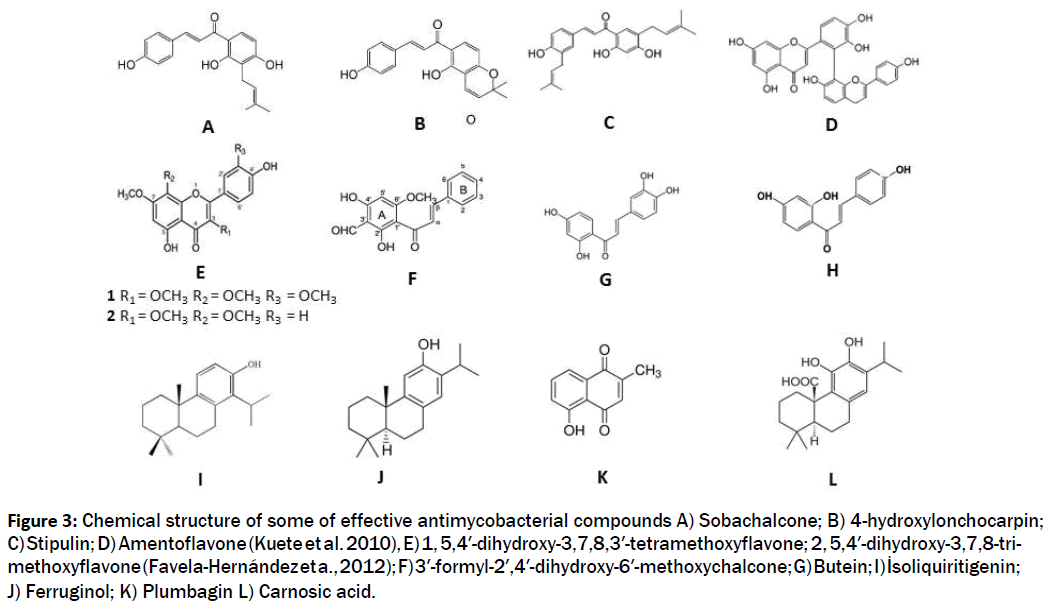 pharmacology-toxicological-studies-Chemical-structure