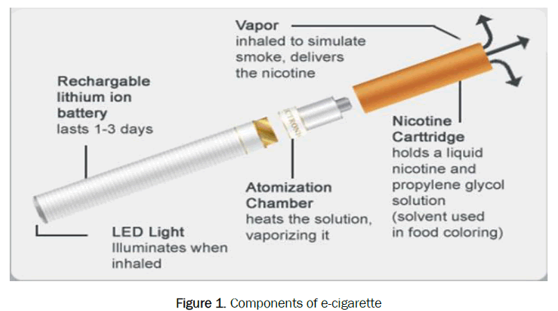 pharmacology-toxicological-studies-Components