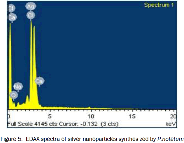 pharmacology-toxicological-studies-EDAX-spectra-nanoparticles