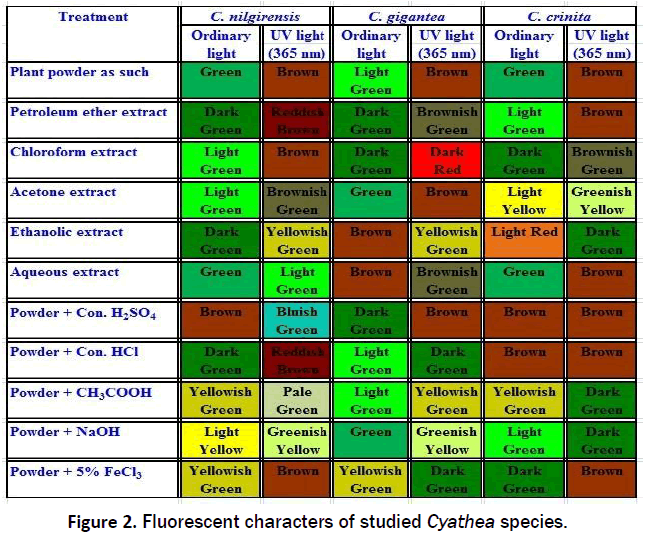 pharmacology-toxicological-studies-Fluorescent-characters