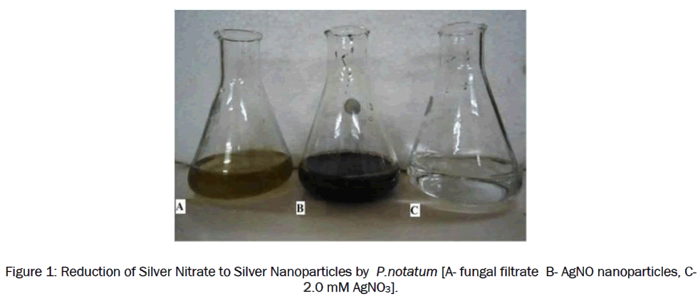 pharmacology-toxicological-studies-Reduction-Silver-Nitrate