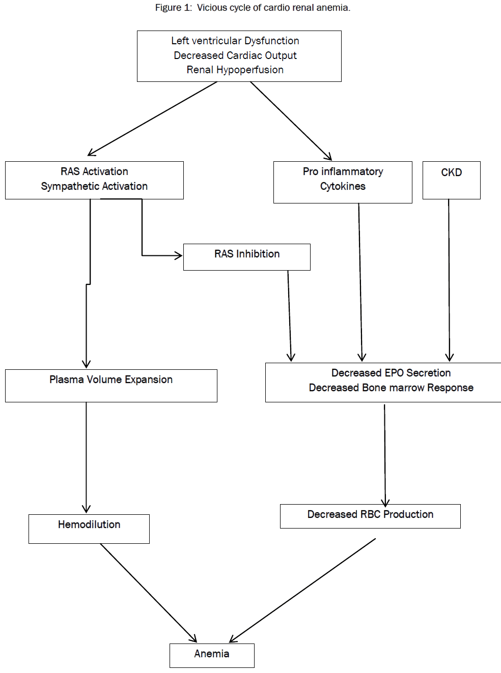 pharmacology-toxicological-studies-Vicious-cycle-cardio