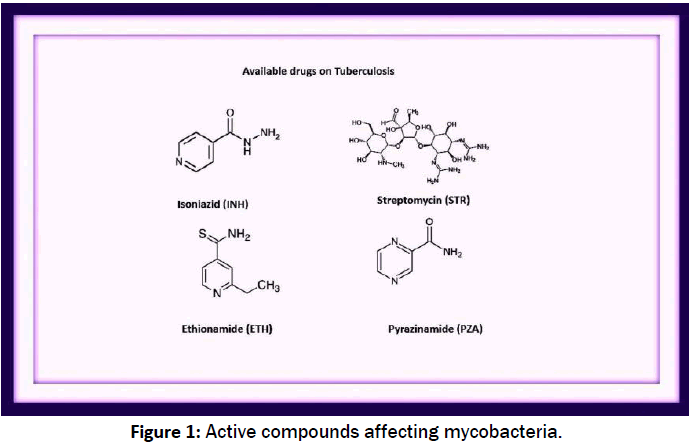 pharmacology-toxicological-studies-affecting-mycobacteria