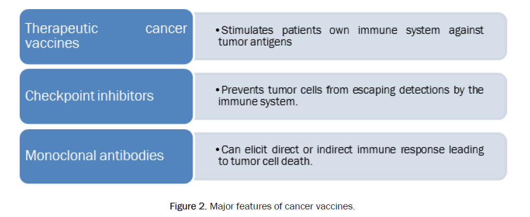 pharmacology-toxicological-studies-cancer-vaccines