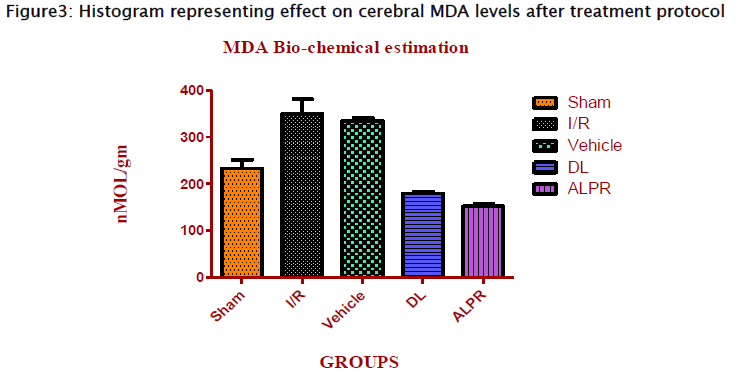 pharmacology-toxicological-studies-cerebral-MDA-levels