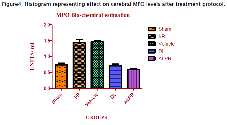 pharmacology-toxicological-studies-cerebral-MPO-levels