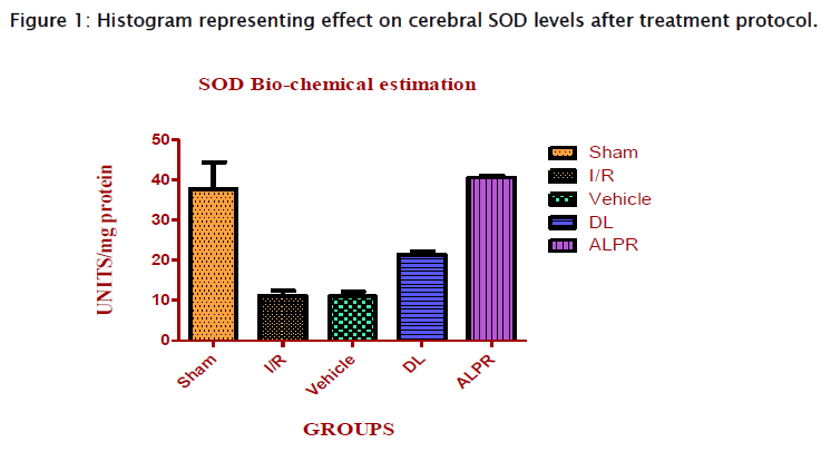 pharmacology-toxicological-studies-cerebral-SOD-levels