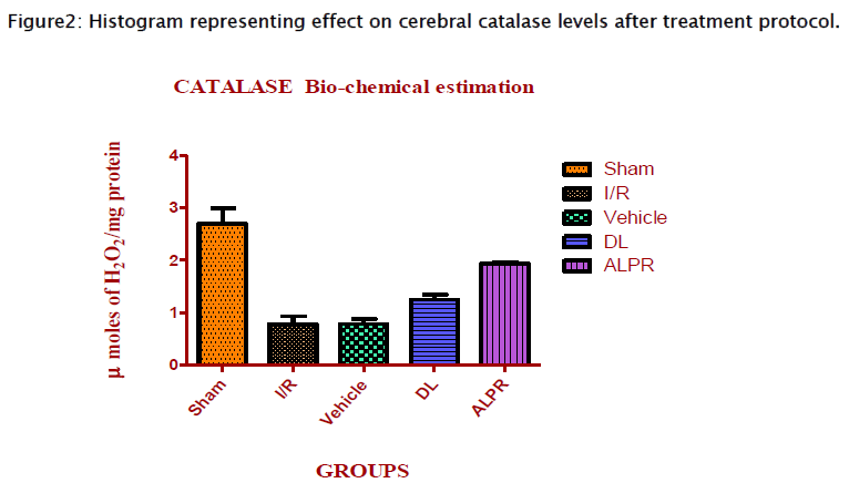 pharmacology-toxicological-studies-cerebral-catalase-levels