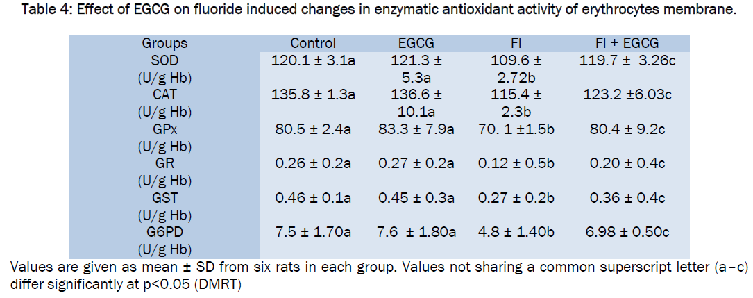 pharmacology-toxicological-studies-enzymatic-antioxidant