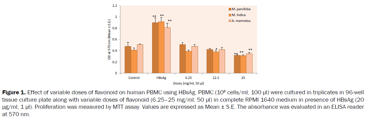 pharmacology-toxicological-studies-human-PBMC-using-HBsAg