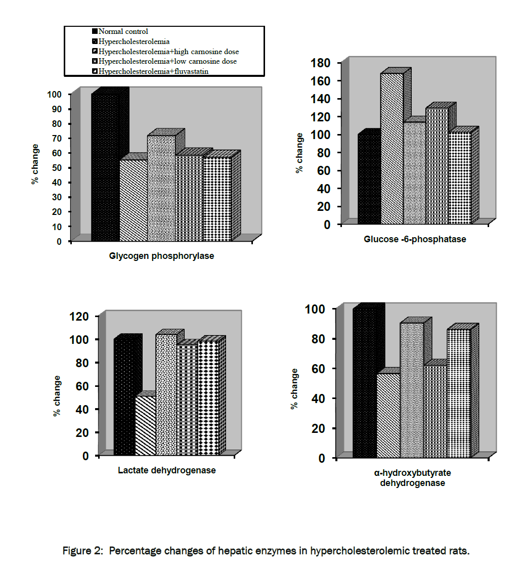 pharmacology-toxicological-studies-hypercholesterolemic-treated-rats