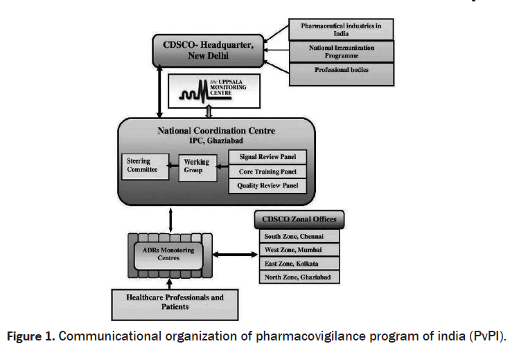 pharmacology-toxicological-studies-pharmacovigilance-program