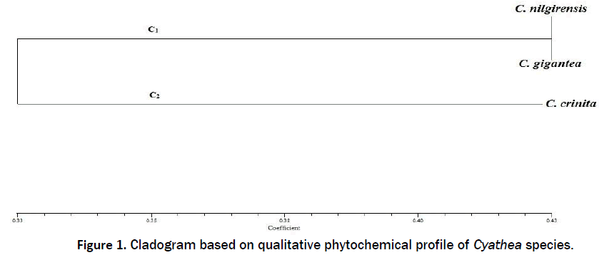 pharmacology-toxicological-studies-phytochemical-profile