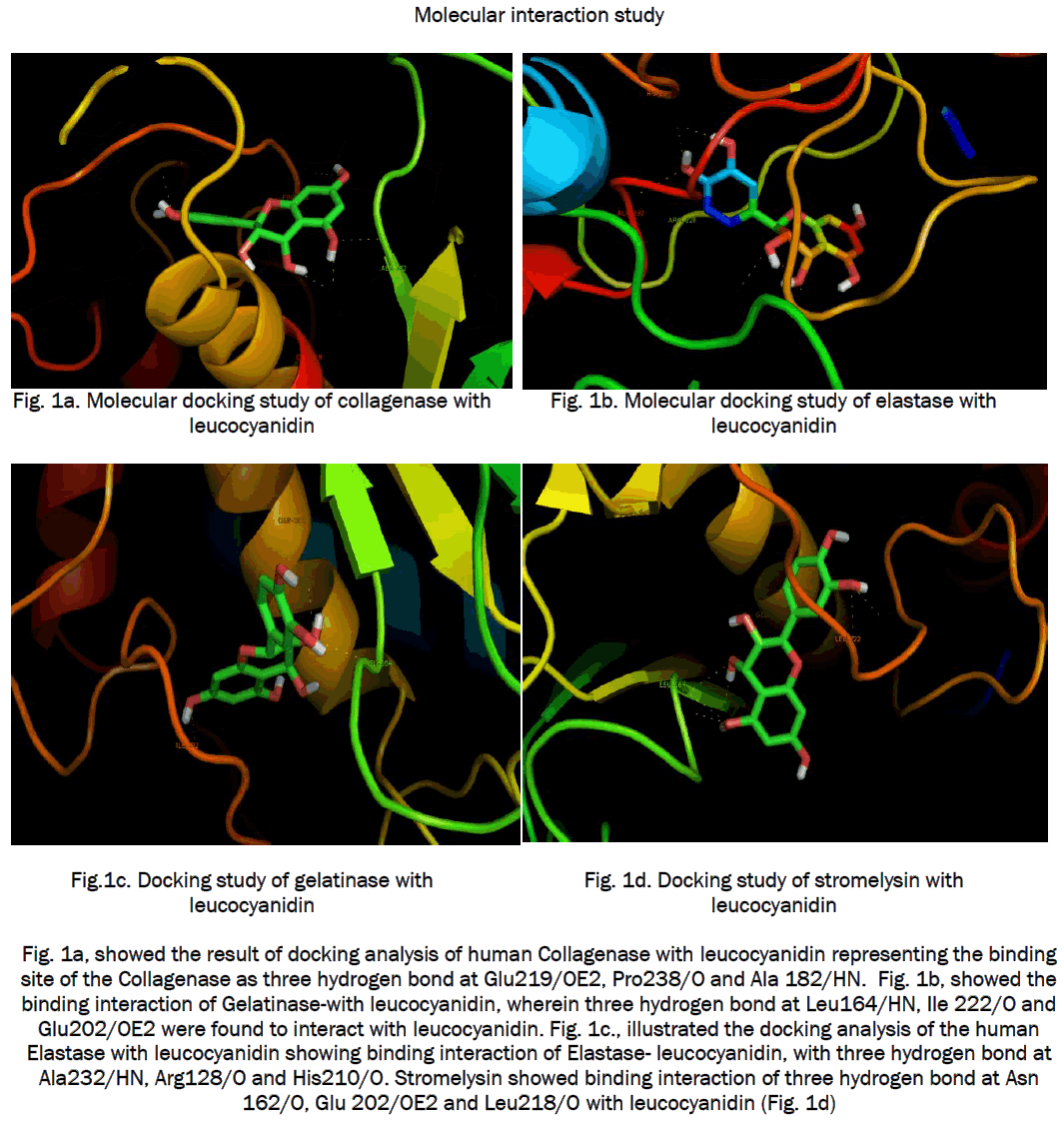 pharmacology-toxicological-studies-showed-docking-Collagenase