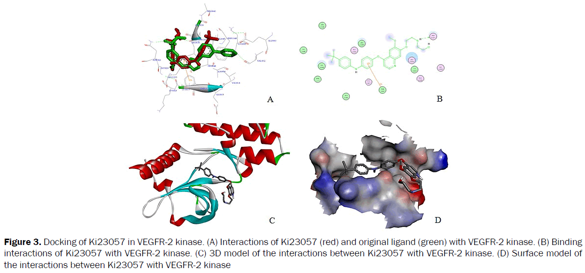 pharmacy-and-pharmaceutical-sciences-original-ligand