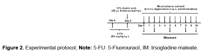 pharmacy-pharmaceutical-sciences-Experimental-protocol