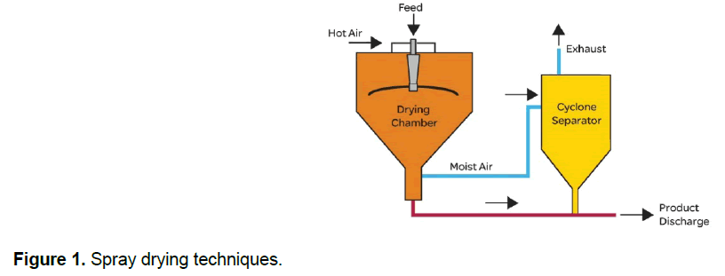 pharmacy-pharmaceutical-sciences-Spray-drying-techniques