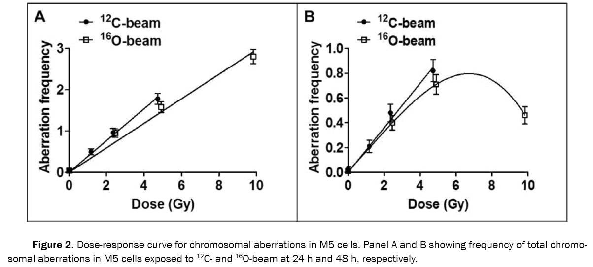 pharmacy-pharmaceutical-sciences-chromosomal-aberrations