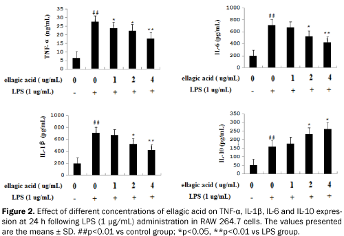 pharmacy-pharmaceutical-sciences-concentrations-ellagic