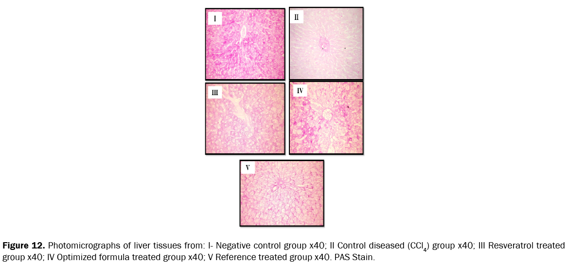 pharmacy-pharmaceutical-sciences-liver-tissues