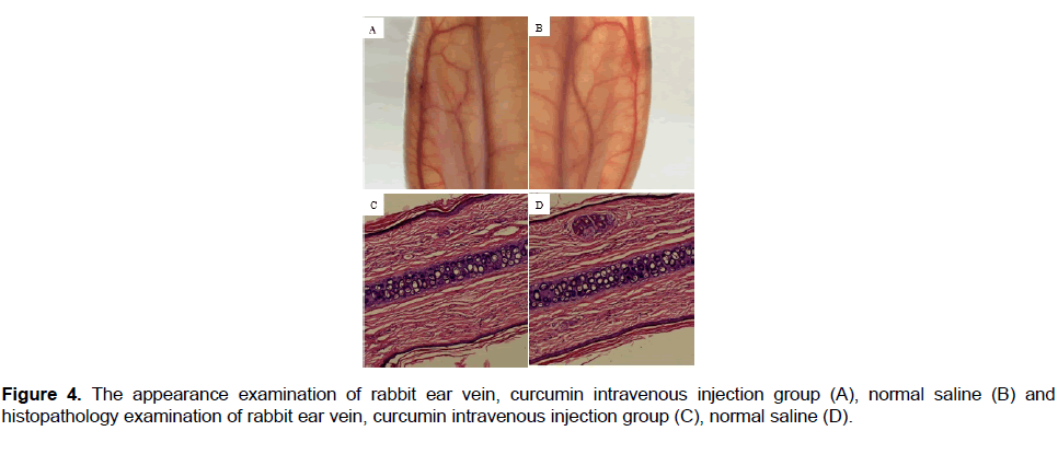 pharmacy-pharmaceutical-sciences-rabbit-ear-vein