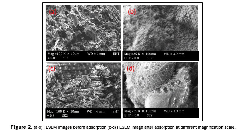 pure-and-applied-physics-FESEM-images-different-magnification